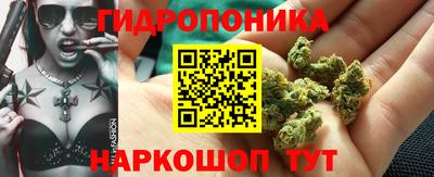 ГАЛЛЮЦИНОГЕННЫЕ ГРИБЫ Кандалакша