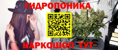 ГАЛЛЮЦИНОГЕННЫЕ ГРИБЫ Кандалакша