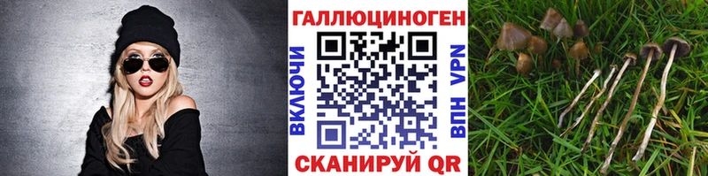 Галлюциногенные грибы GOLDEN TEACHER Уварово