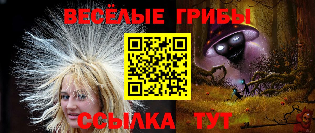 Галлюциногенные грибы мухоморы  Вход с VPN  Уварово 