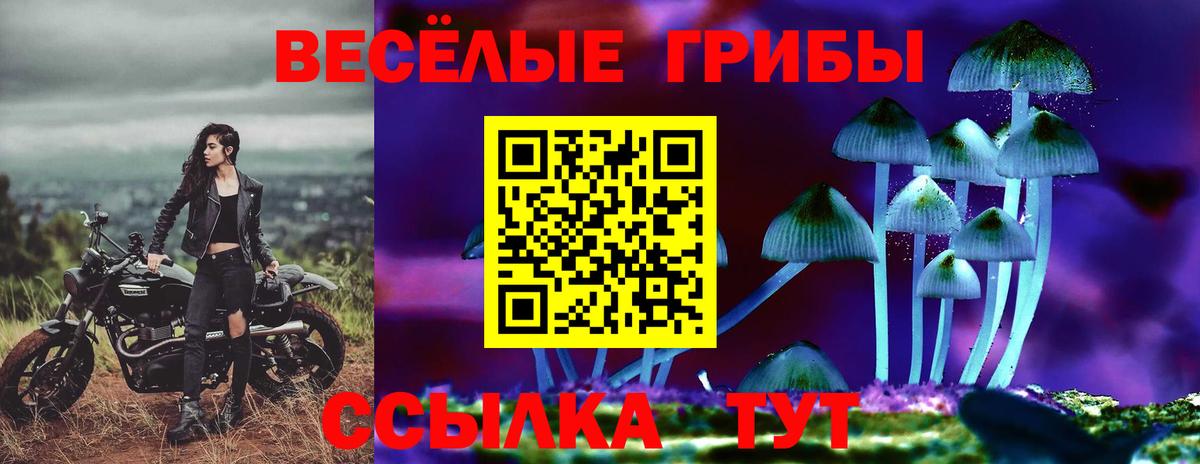 Псилоцибиновые грибы Psilocybe Уварово